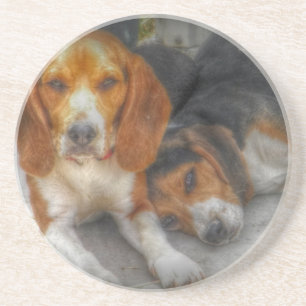 Brother Beagles Coaster