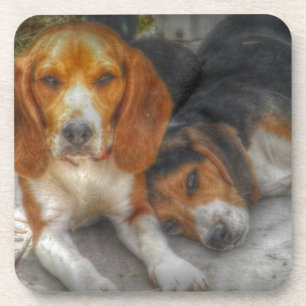 Brother Beagles Coaster