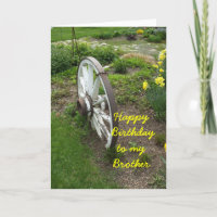 Brother Birthday