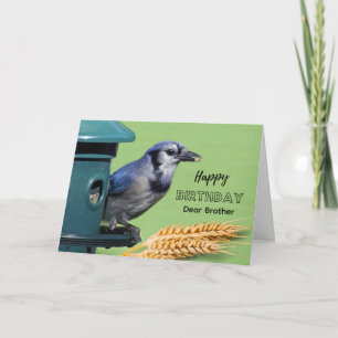Brother Birthday with Blue Jay at Feeder Wheat Card