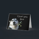Brother Happy Birthday Card Funny<br><div class="desc">This is a cute Happy Birthday card for your brother.  A beautiful Husky holding an olive branch.  Tell your Bro,  "Olive" (I love) you on his birthday!</div>