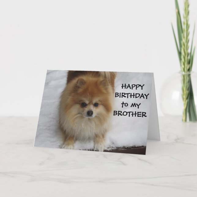"BROTHER" HAPPY BIRTHDAY SAYS THE POMERANIAN CARD (Front)
