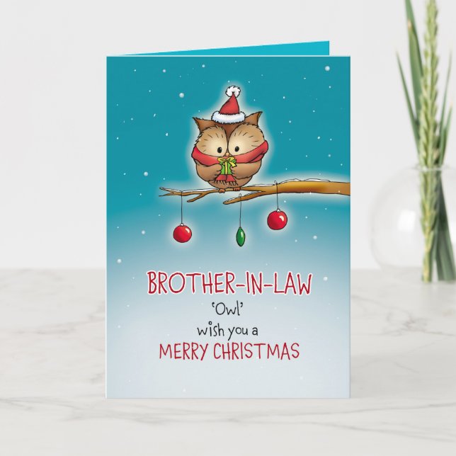 Brother in Law, owl wish you a Merry Christmas Holiday Card (Front)