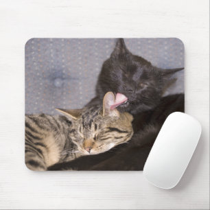 Brotherly Love Mouse Mat