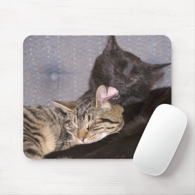 Brotherly Love Mouse Mat (With Mouse)