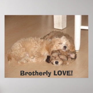 Brotherly LOVE! Poster