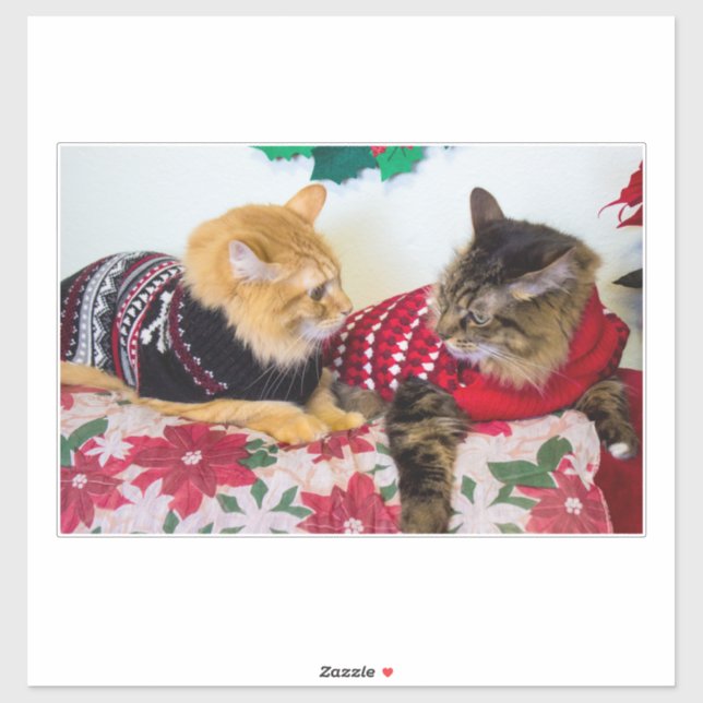 Brothers (Sheet)