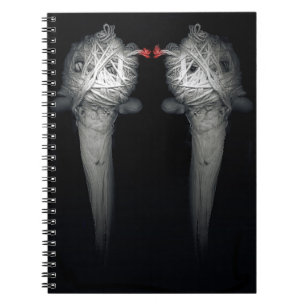 Brothers 2013 notebook