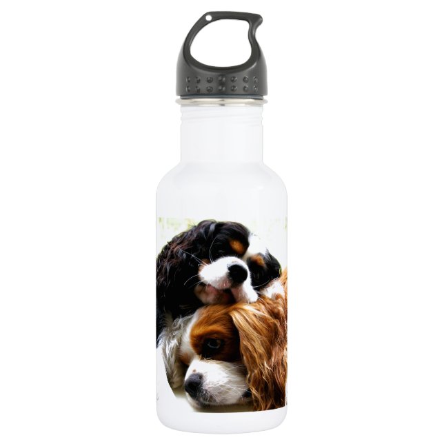 Brothers Cavaliers 532 Ml Water Bottle (Front)