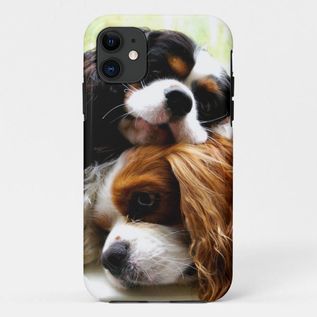Brothers Cavaliers iPhone 5/5S Case (Back)
