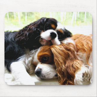 Brothers Cavaliers Mouse Mat