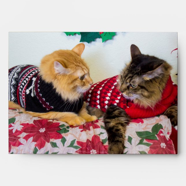 Brothers Envelope (Front)