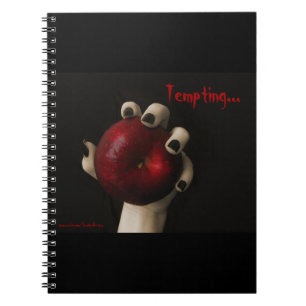 Brothers Grimm Tempting Witch Notebook