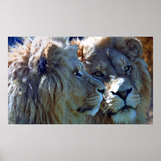 Brothers Poster
