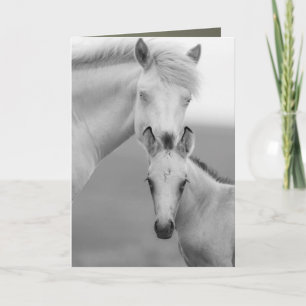 Brothers Wild Horse Greeting Card