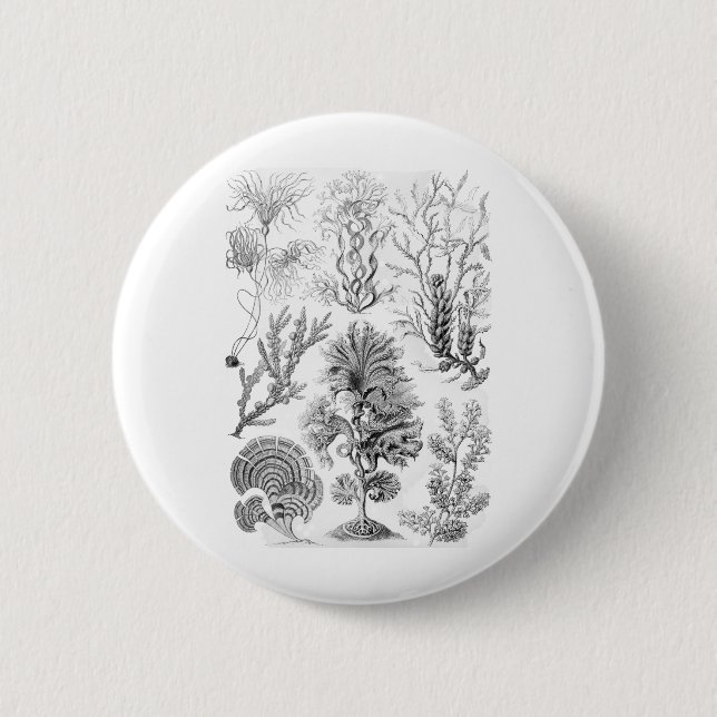Brown Algae 6 Cm Round Badge (Front)