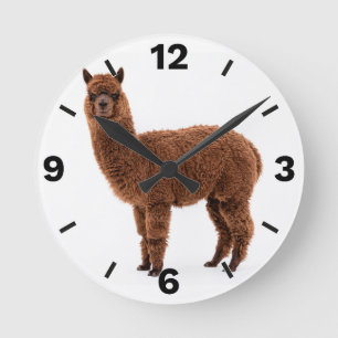Brown Alpaca Farm Animal Rustic Decor Round Clock
