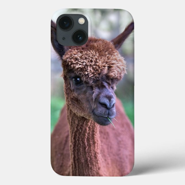 Brown Alpaca iPad Case (Back)