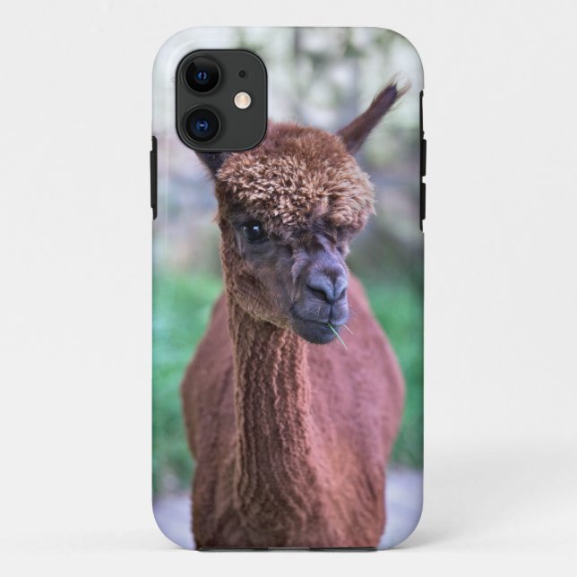 Brown Alpaca iPhone 5 Case (Back)