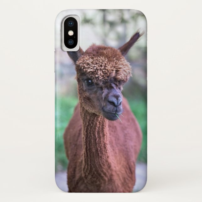 Brown Alpaca iPhone X Case (Back)