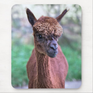 Brown Alpaca Mousemat