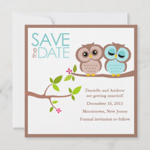 Brown and Aqua Owls Wedding Save the Date Invitation