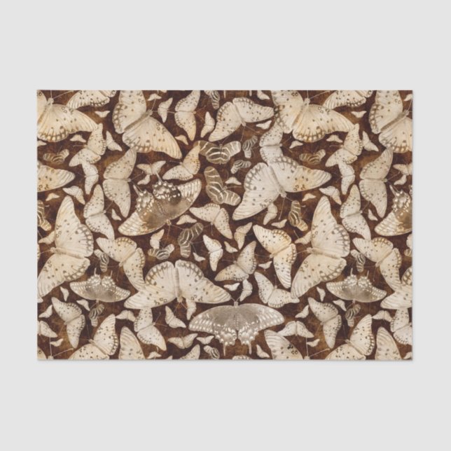 Brown and Beige Butterflies Tissue Paper (Front)