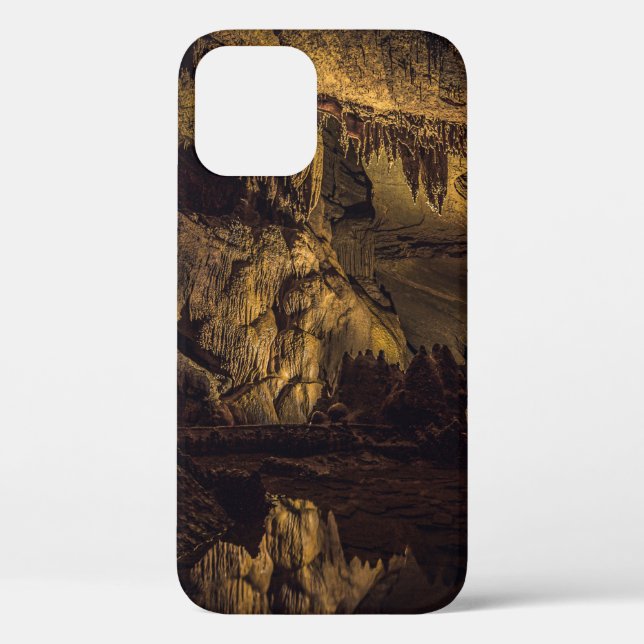 BROWN AND BLACK CAVE PAINTING Case-Mate iPhone CASE (Back)