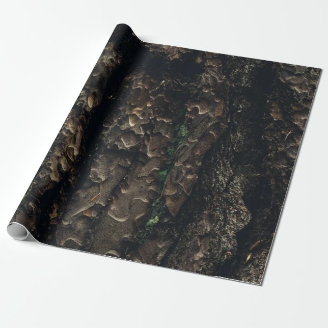Brown and black tree trunk wrapping paper (Unrolled)