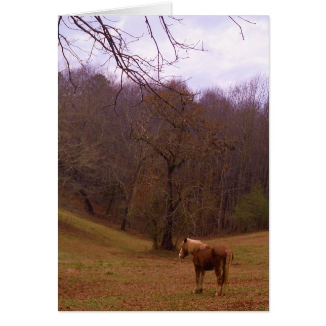 Brown and Blonde Horse in a field (Front)