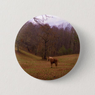 Brown and Blonde Horse in a field 6 Cm Round Badge