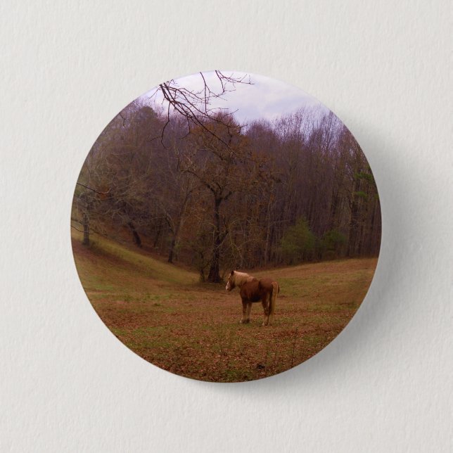 Brown and Blonde Horse in a field 6 Cm Round Badge (Front)