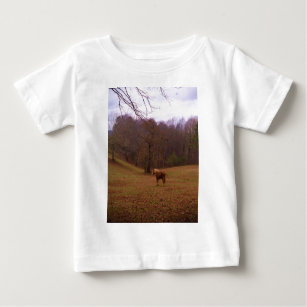 Brown and Blonde Horse in a field Baby T-Shirt