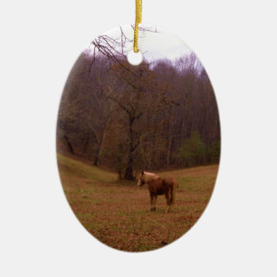 Brown and Blonde Horse in a field Ceramic Tree Decoration