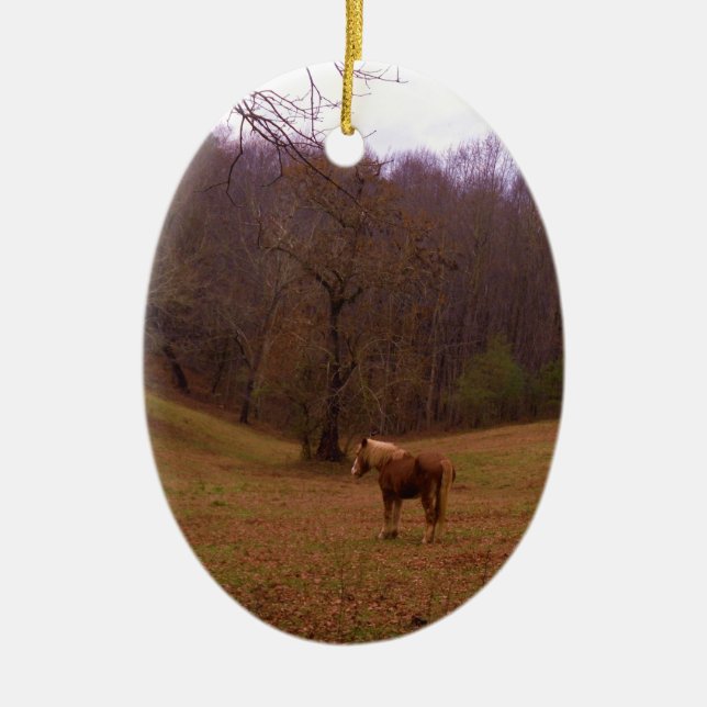 Brown and Blonde Horse in a field Ceramic Tree Decoration (Front)