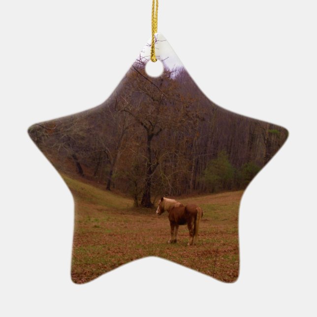 Brown and Blonde Horse in a field Ceramic Tree Decoration (Front)