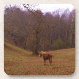 Brown and Blonde Horse in a field Coaster