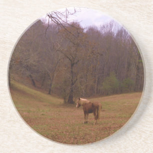 Brown and Blonde Horse in a field Coaster