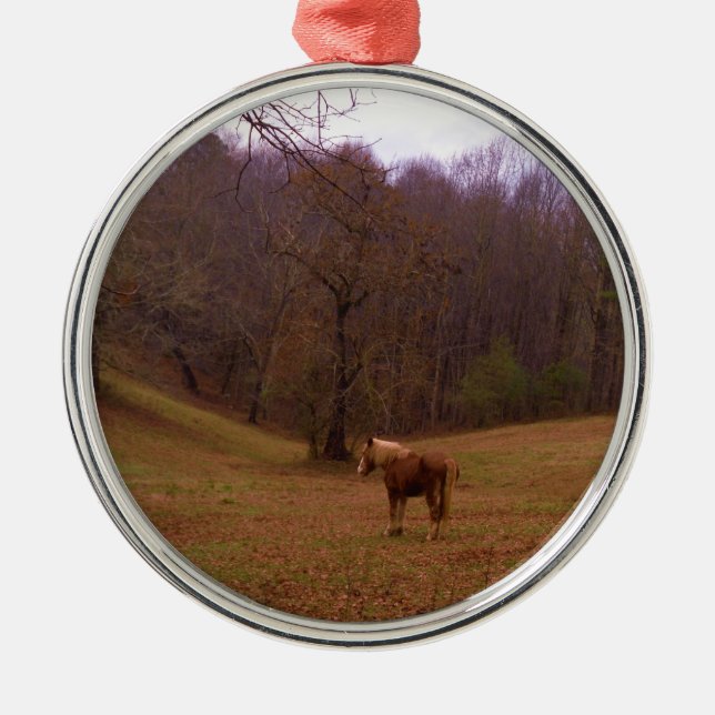 Brown and Blonde Horse in a field Metal Tree Decoration (Front)
