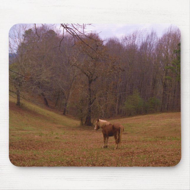 Brown and Blonde Horse in a field Mouse Mat (Front)