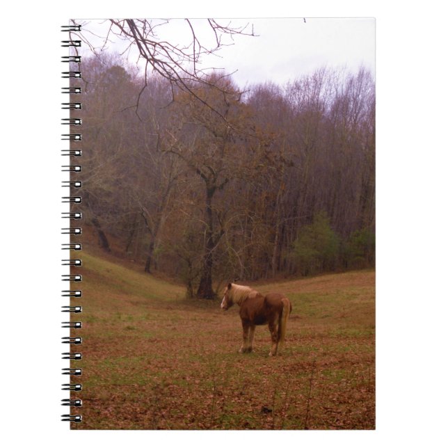 Brown and Blonde Horse in a field Notebook (Front)