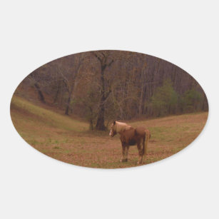 Brown and Blonde Horse in a field Oval Sticker