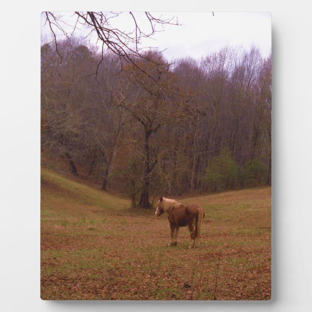 Brown and Blonde Horse in a field Plaque (Front)