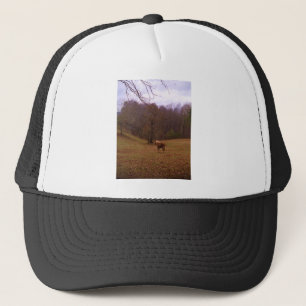 Brown and Blonde Horse in a field Trucker Hat
