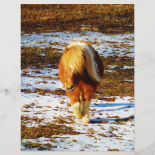 Brown and cream miniature horse in the snow.