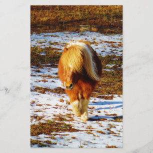 Brown and cream miniature horse in the snow.