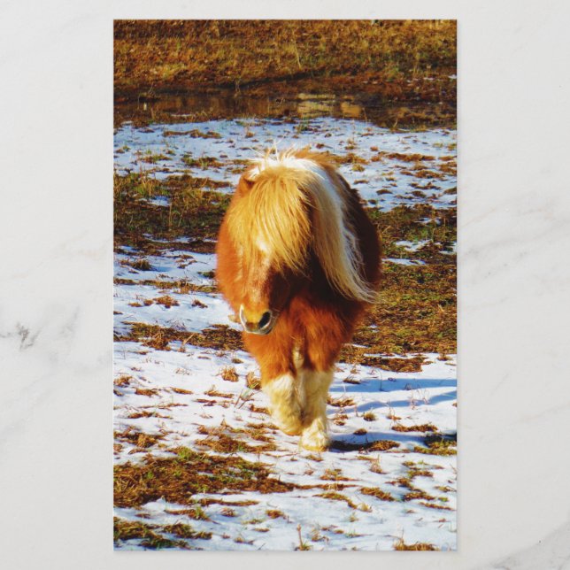 Brown and cream miniature horse in the snow. (Front)