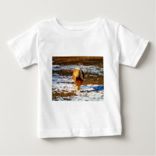 Brown and cream miniature horse in the snow. baby T-Shirt