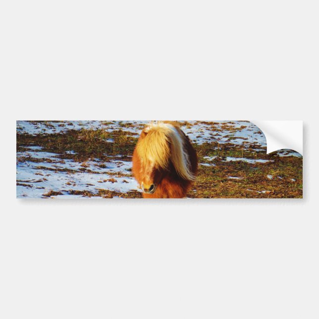 Brown and cream miniature horse in the snow. bumper sticker (Front)