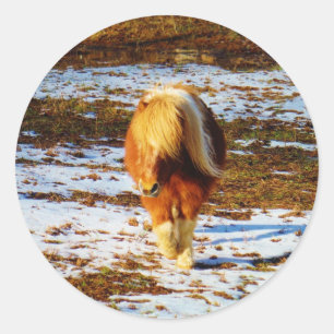 Brown and cream miniature horse in the snow. classic round sticker